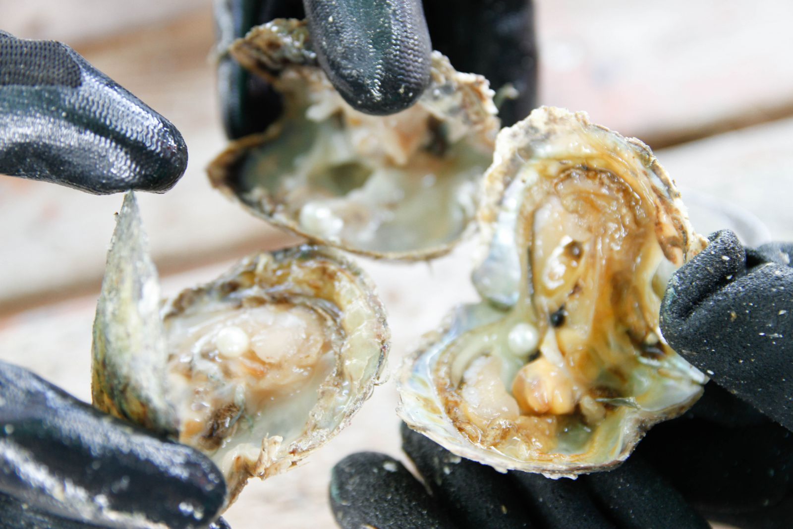 首飾設計工作坊