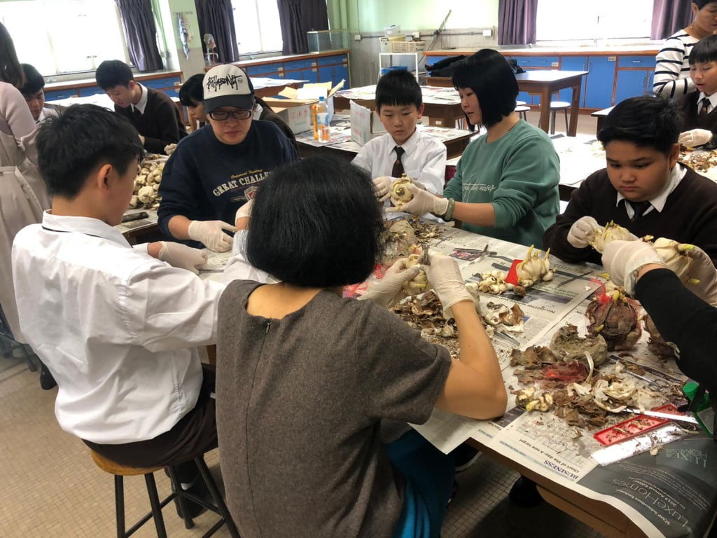 家教會親子水仙浸養班