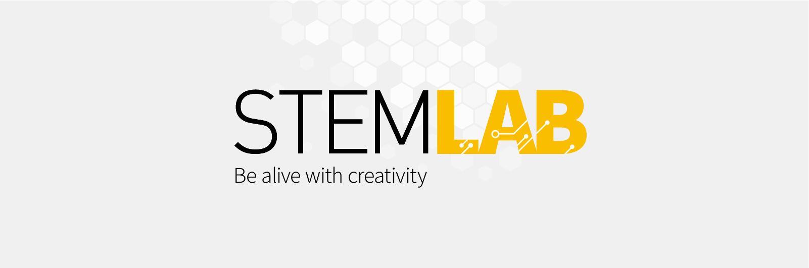stemlab_banner01