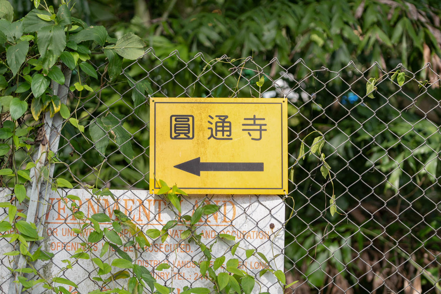 20260521a_01